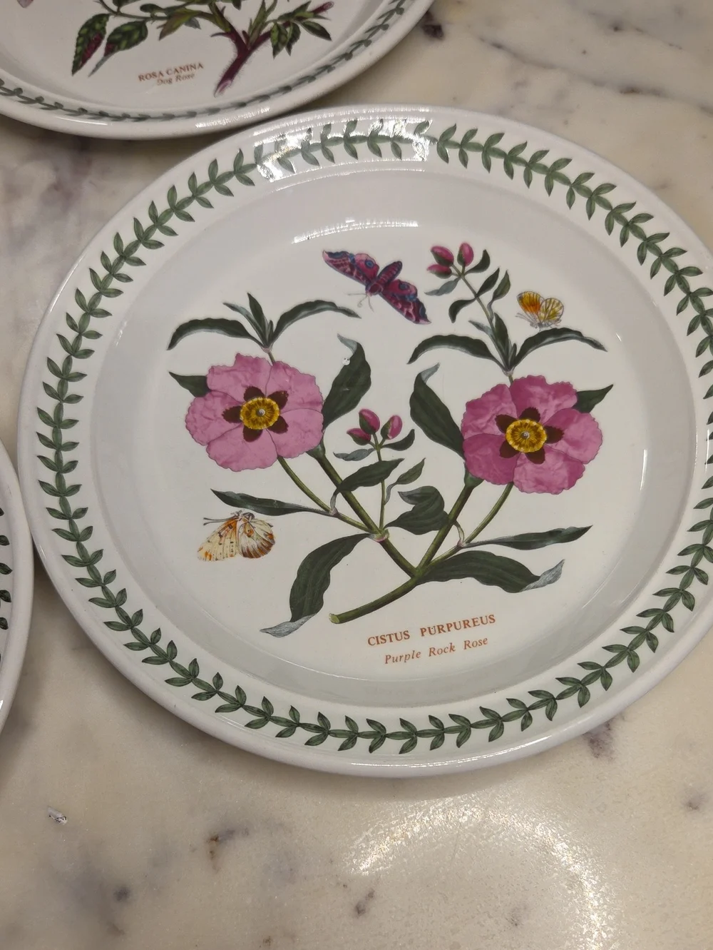Vintage Portmeirion The Botanic Garden Floral Salad Plates 1972 | Britian Set 4